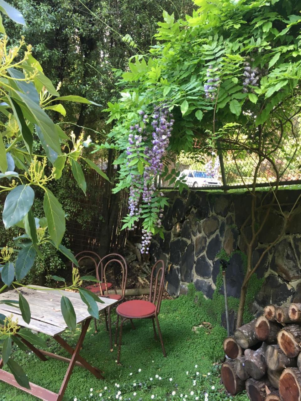 Stone'S Throw Cottage Bed And Breakfast Belgrave Buitenkant foto